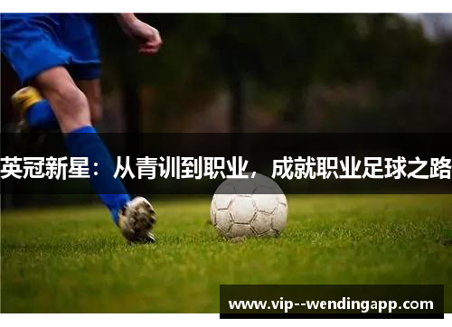 英冠新星：从青训到职业，成就职业足球之路