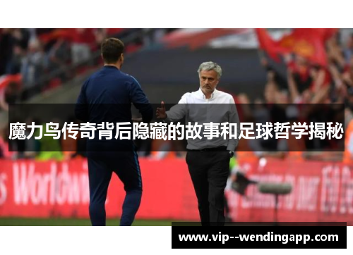 魔力鸟传奇背后隐藏的故事和足球哲学揭秘