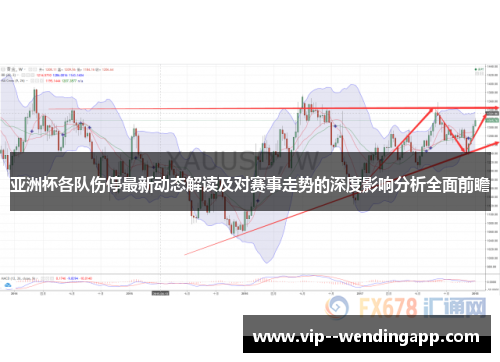 亚洲杯各队伤停最新动态解读及对赛事走势的深度影响分析全面前瞻